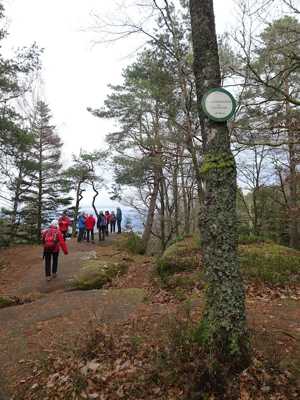 Point de vue Rocher Oberkirch