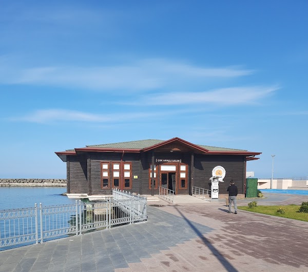 Mavi Işıklar Eğitim, Dinlenme ve Rehabilitasyon Merkezi-Kampı
