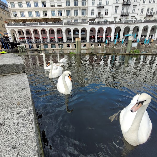 Alster Arcade