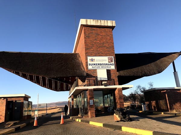 Suikerbosrand Nature Reserve