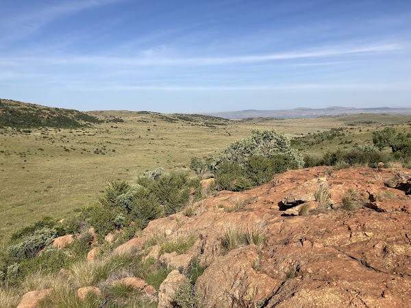 Suikerbosrand Nature Reserve