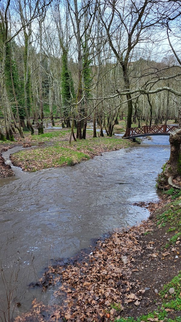 Değirmen Boğazı Mesire Alanı Çocuk Parkı