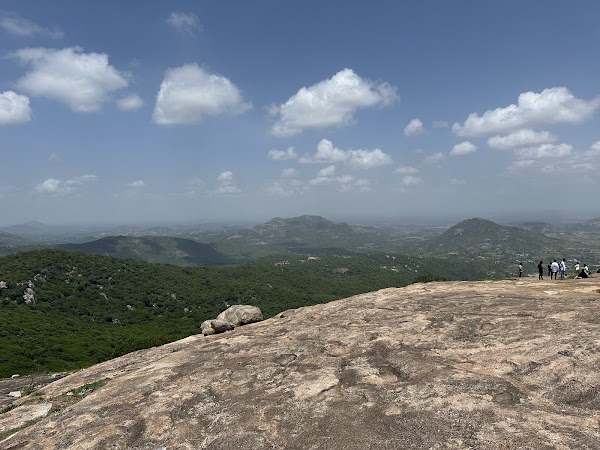 Horsley Hills Viewpoint