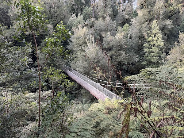 Tarra Bulga Visitor Centre