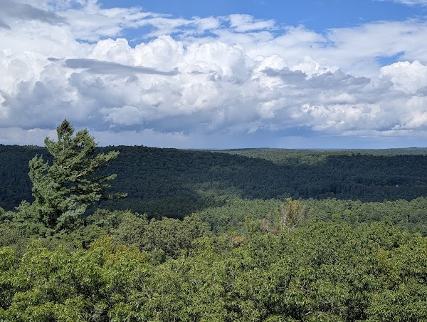 Cook Forest State Park