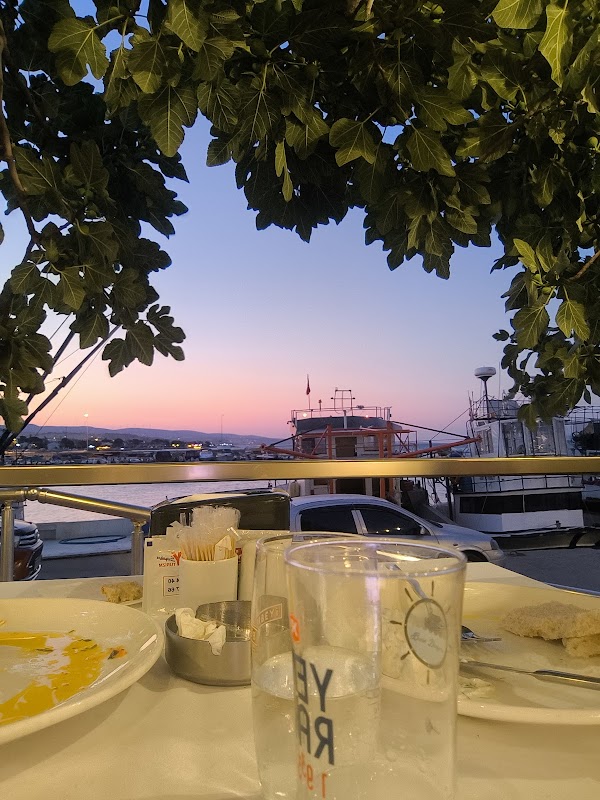 Şarköy Balık Dünyası