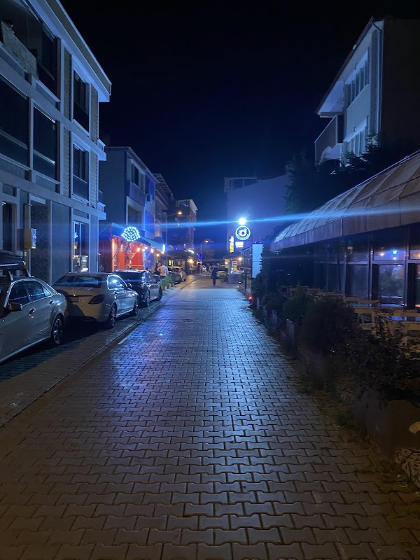 SAMSUN BLUE DOLPHİN HOTEL