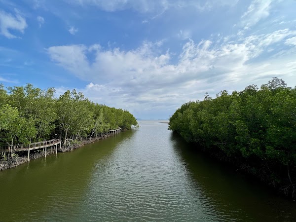 Mu Ko Chumphon National Park
