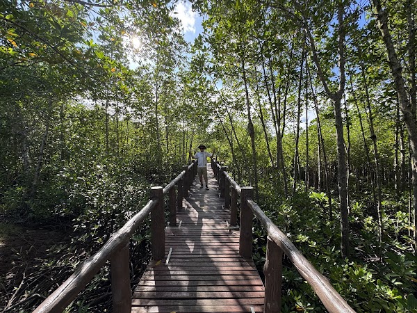 Mu Ko Chumphon National Park
