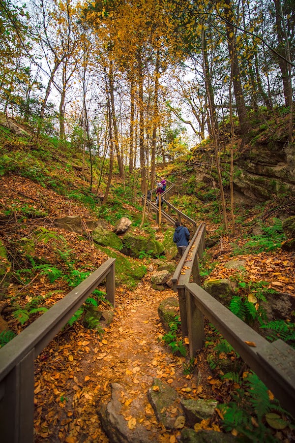 Hawk Mountain Sanctuary
