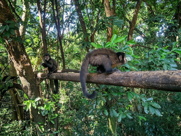 Parque Ecológico Municipal "Bióloga Tânia Mara"