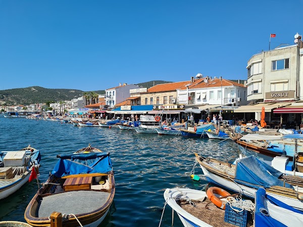 Old Foca Coast
