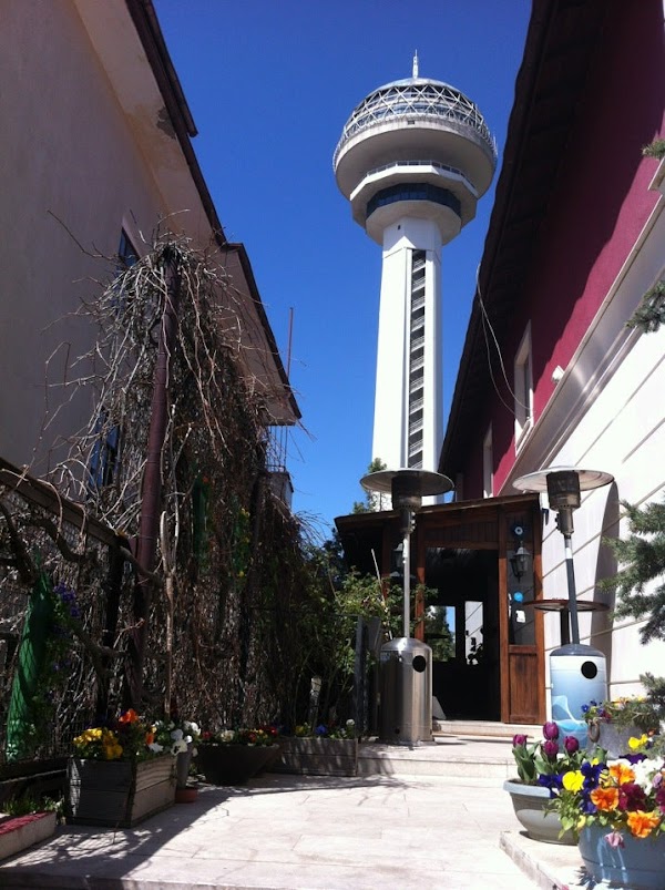 Fige Restaurant