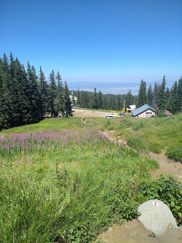 Vitosha Mountain View