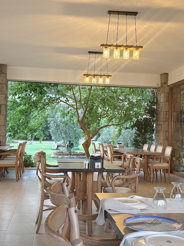 Assos Oveliskos Restaurant