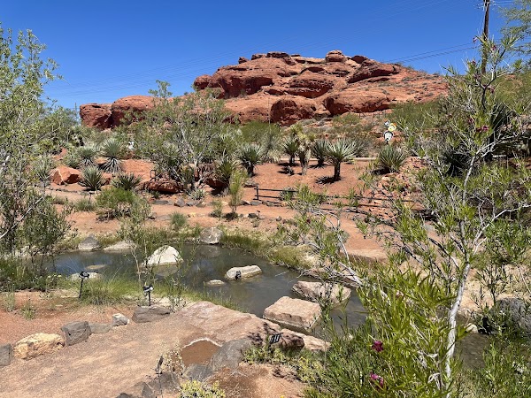Red Hills Desert Garden