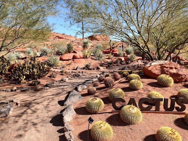 Red Hills Desert Garden