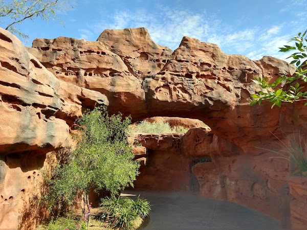 Red Hills Desert Garden