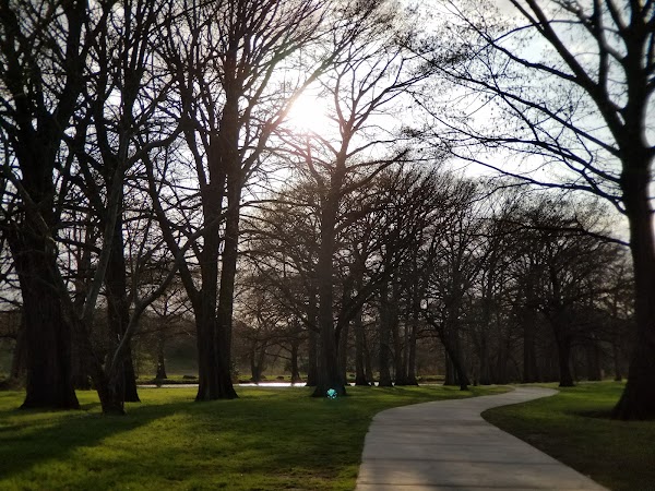 Louise Hays Park