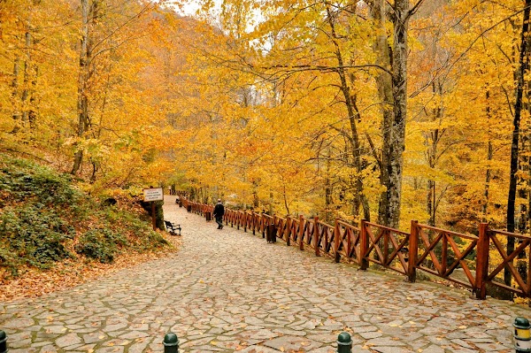 Suuçtu Tabiat Parkı ve Şelalesi