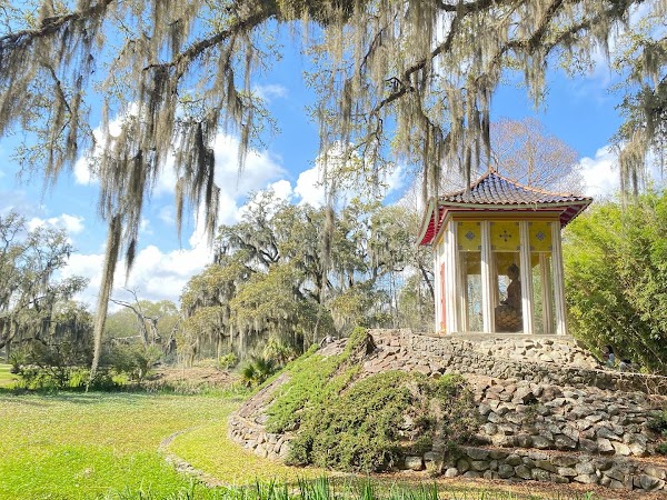 Jungle Gardens