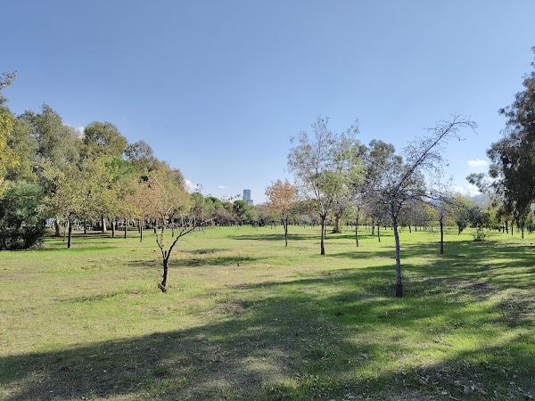 İnciraltı Kent Ormanı