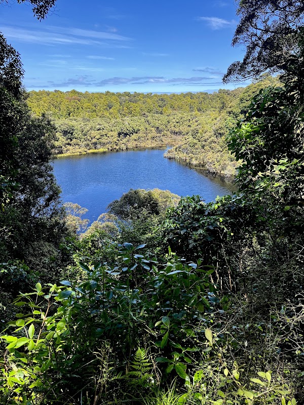 Lake Wilkie Track