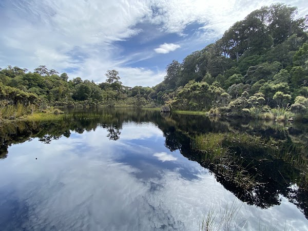 Lake Wilkie Track