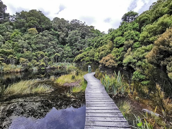 Lake Wilkie Track