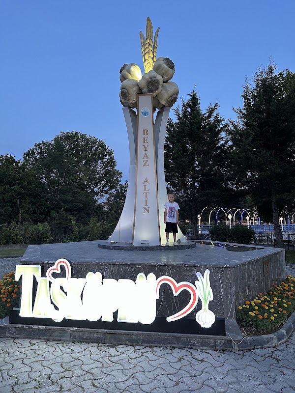 Taşköprü