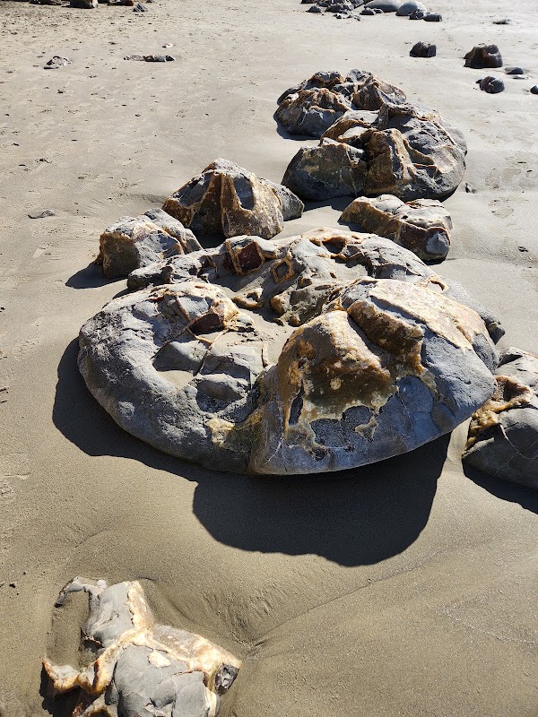 Moeraki Boulders Beach