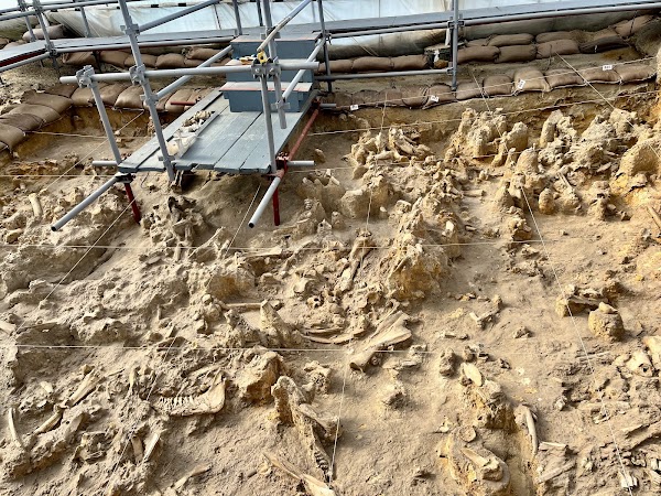 West Coast Fossil Park