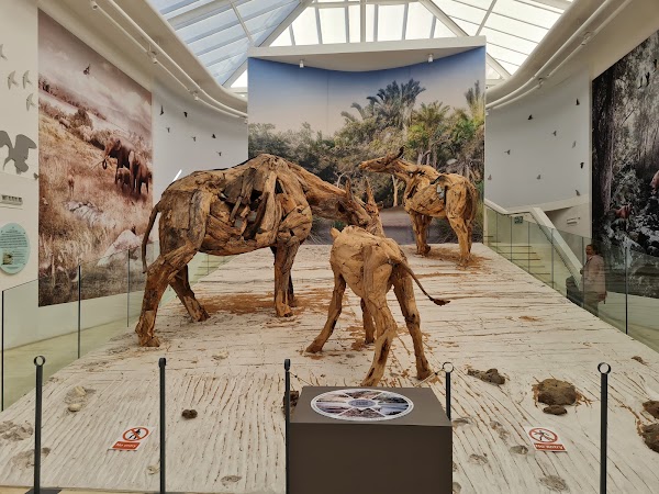 West Coast Fossil Park