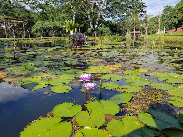 Jardim Botânico Municipal de Bauru