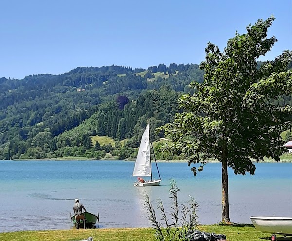 Alpsee Bergwelt