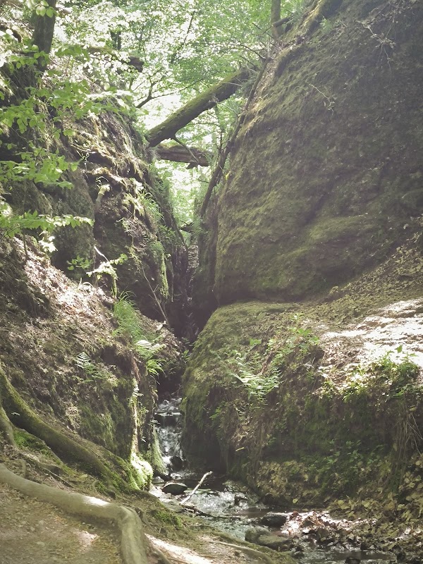 Dragon Gorge