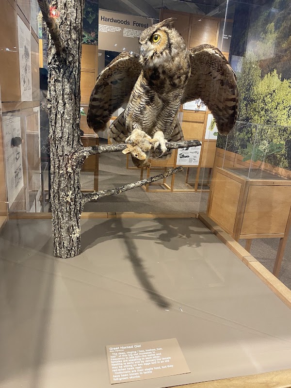 Sugarlands Visitor Center