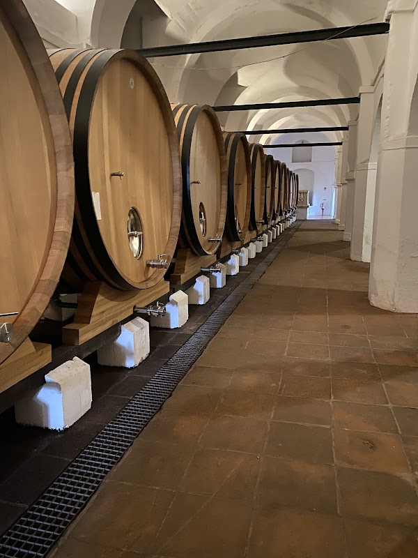 Cartuxa - Quinta de Valbom - Fundação Eugénio de Almeida