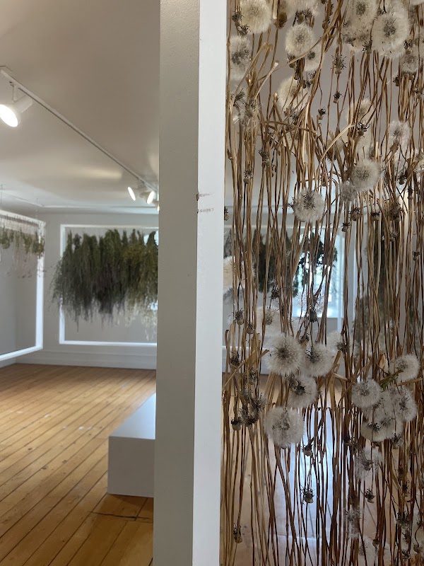 Centre d'art de Kamouraska