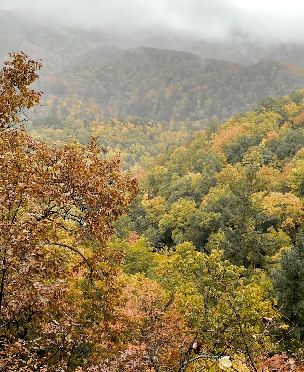 Laurel Falls Trail