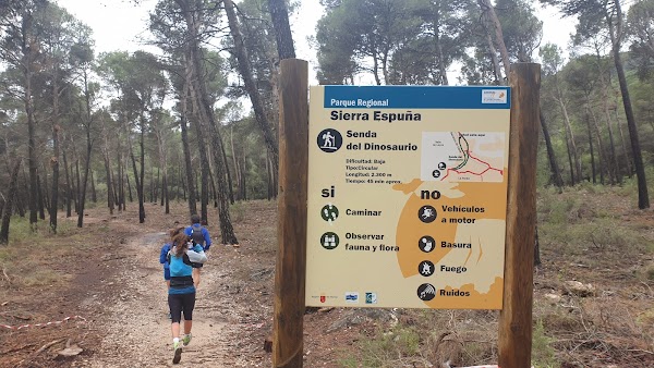 Senda del Dinosaurio