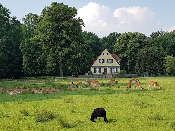 Naturwildpark Dülmen