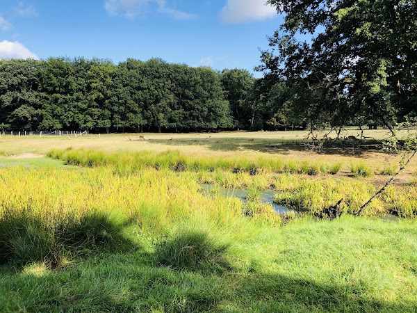 Naturwildpark Dülmen