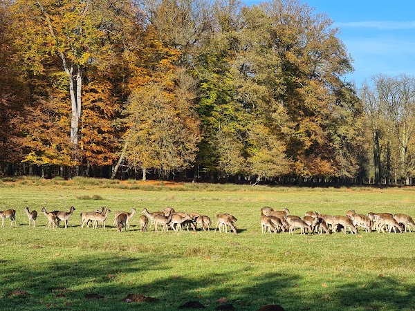 Naturwildpark Dülmen