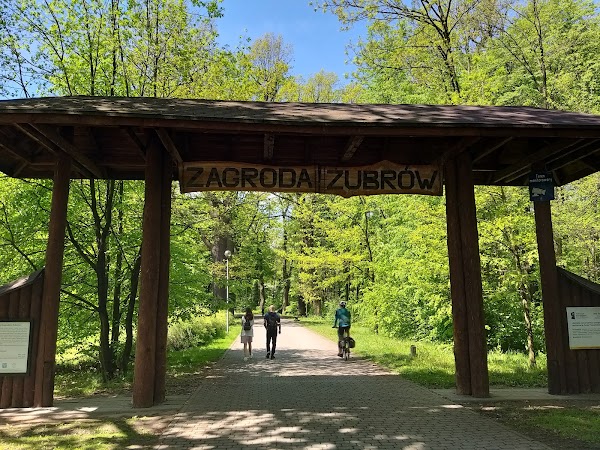 Pokazowa Zagroda Żubrów w Zabytkowym Parku Pszczyńskim