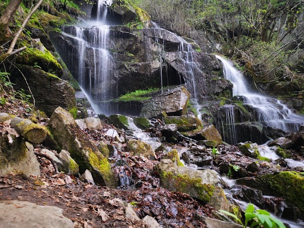 Vitosha Nature Park