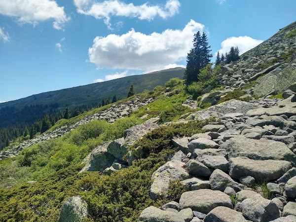 Vitosha Nature Park