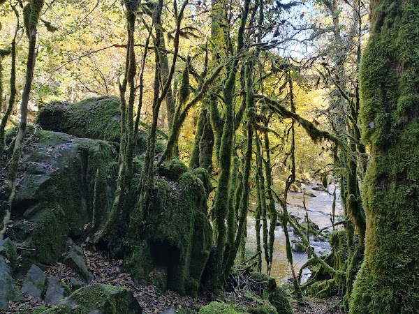 Gorges de l'Auvézère