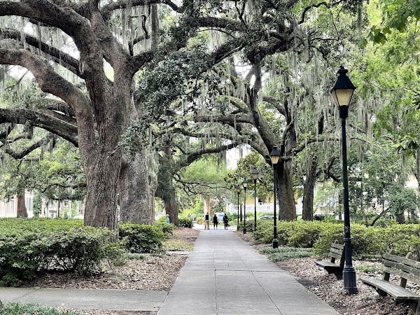 Forsyth Park