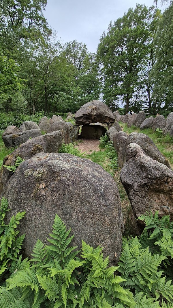Naturpark Wildeshauser Geest